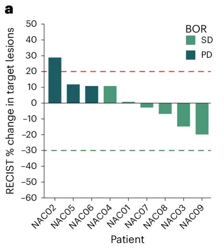 BNT211治疗黑色素瘤的数据