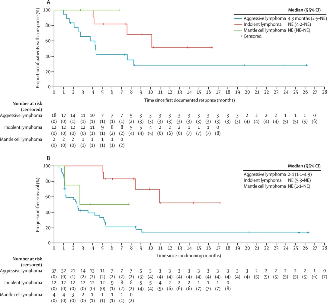 FT516 NK细胞疗法治疗淋巴瘤的数据