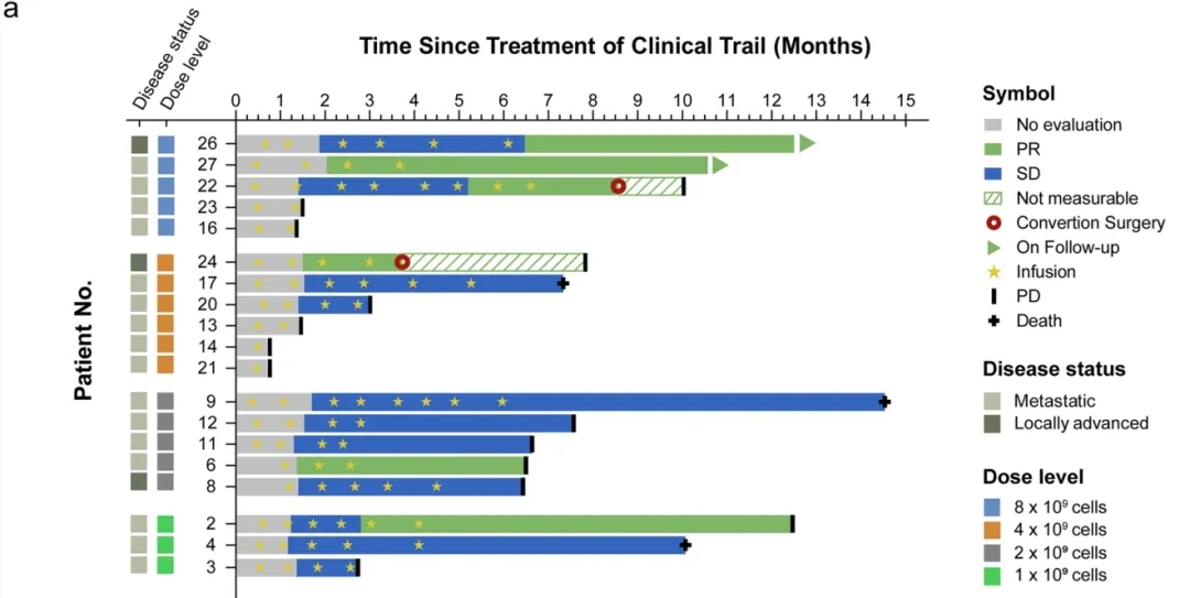 异基因NK细胞疗法治疗胰腺癌的数据