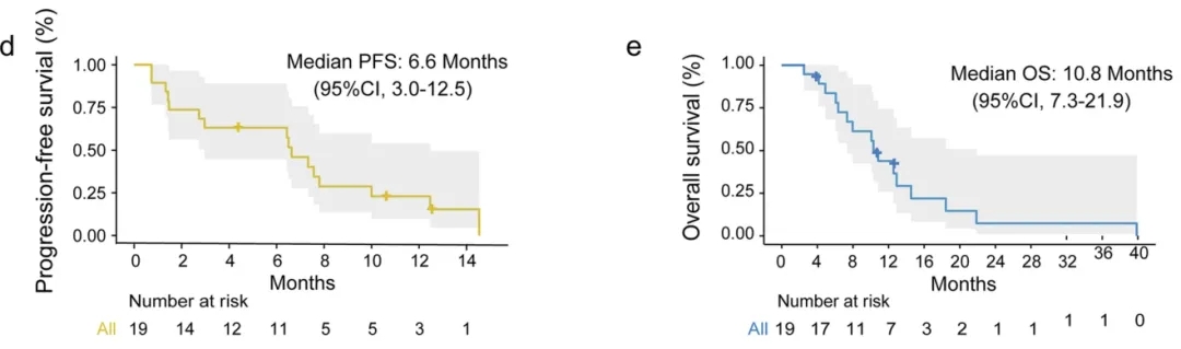 异基因NK细胞疗法治疗胰腺癌的生存期数据