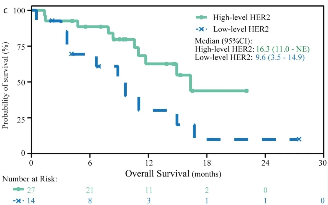 安尼妥单抗治疗胃癌的数据