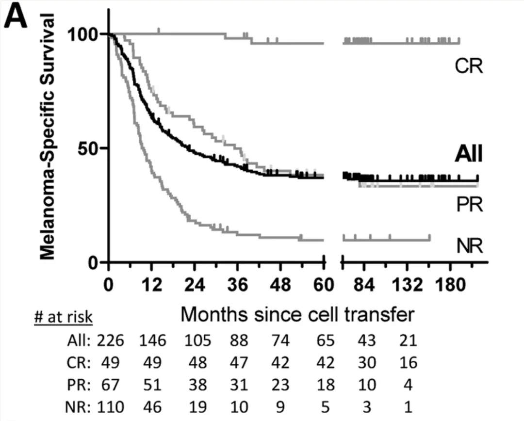 自体TIL细胞疗法治疗黑色素瘤的生存数据