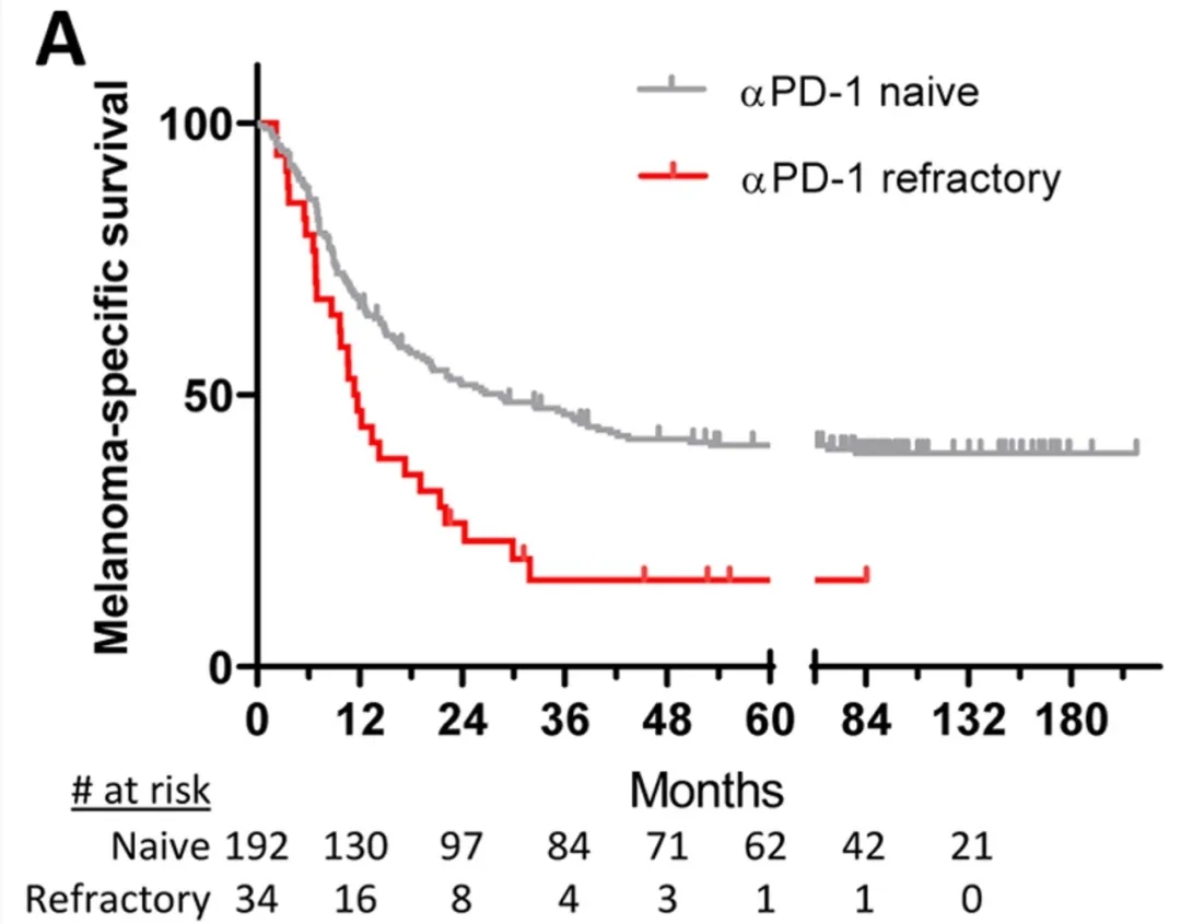 自体TIL细胞疗法治疗黑色素瘤的生存期数据