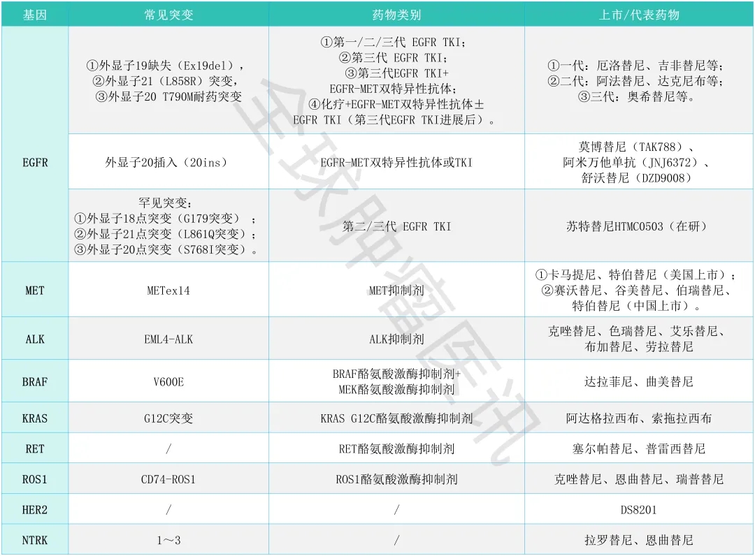 肺癌常见突变基因及其靶向药大盘点