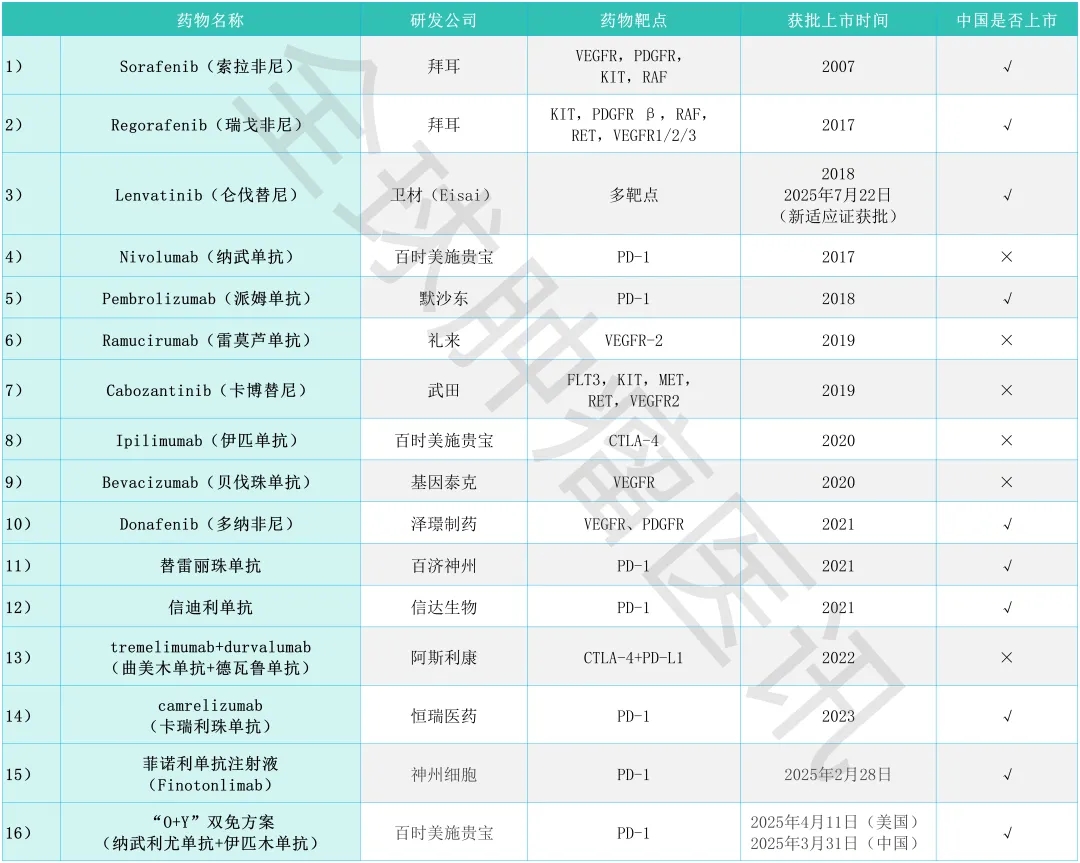 肝癌靶向和免疫治疗药物