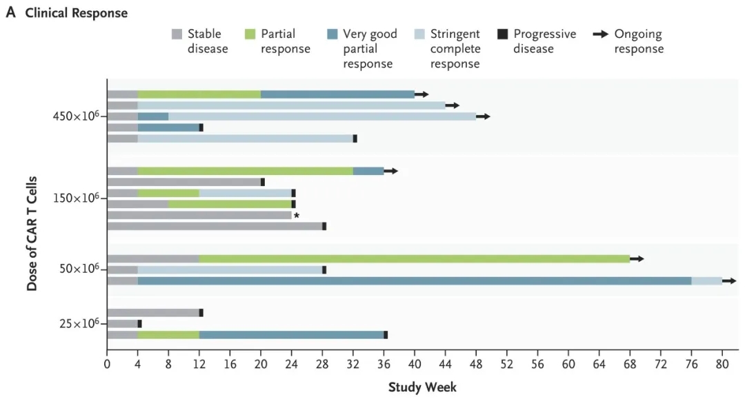 GPRC5D CART细胞疗法治疗多发性骨髓瘤的数据